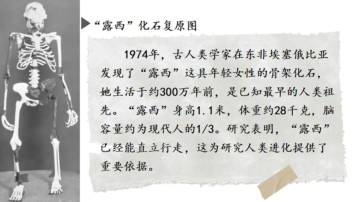 18409264第6页