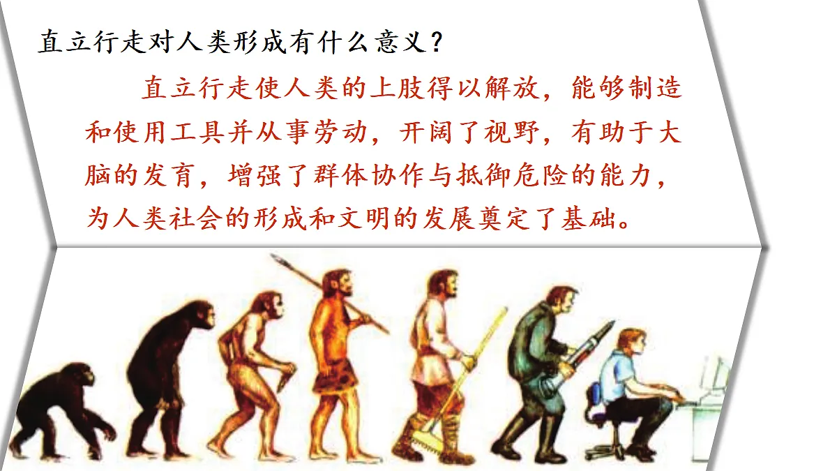 18409264第7页