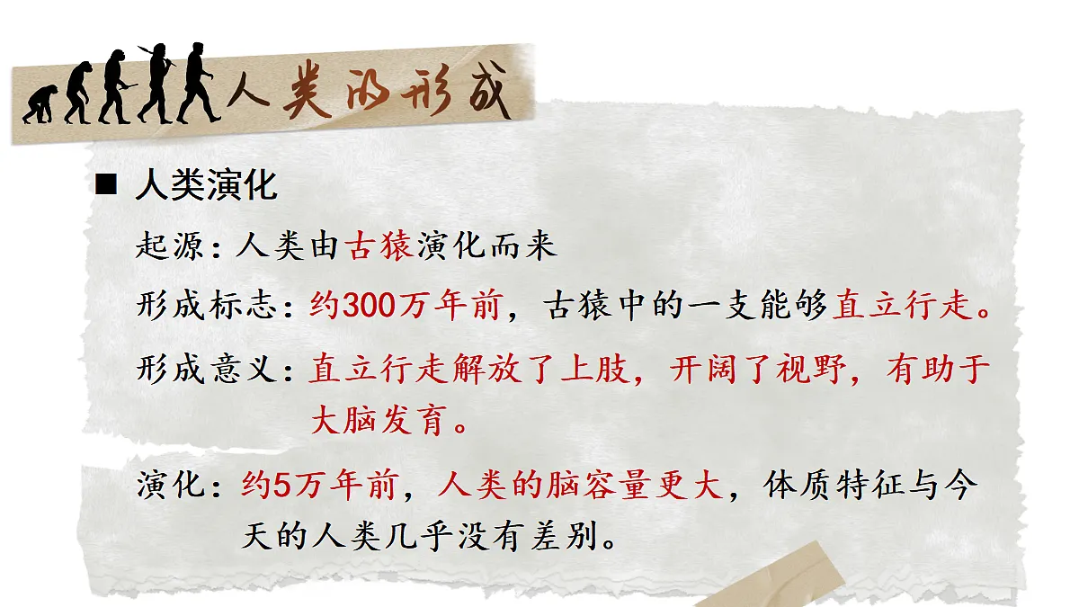 18409264第8页