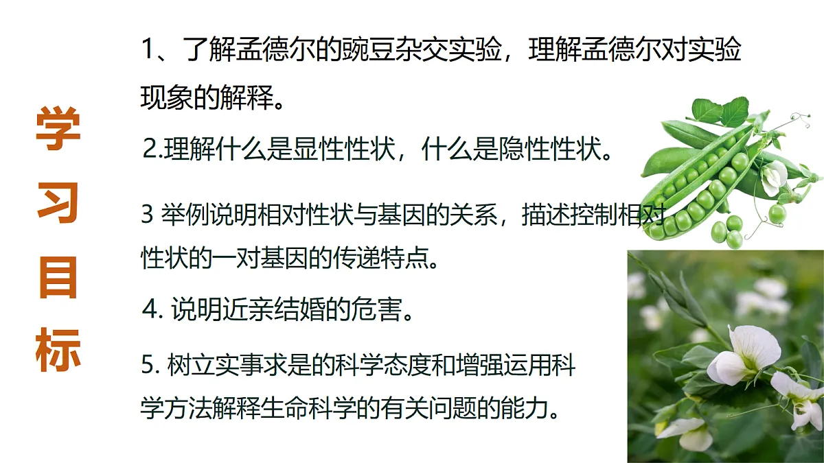18409914第2页