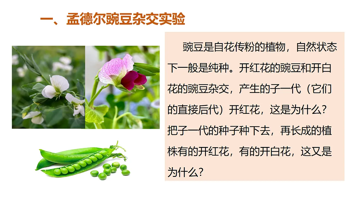 18409914第5页