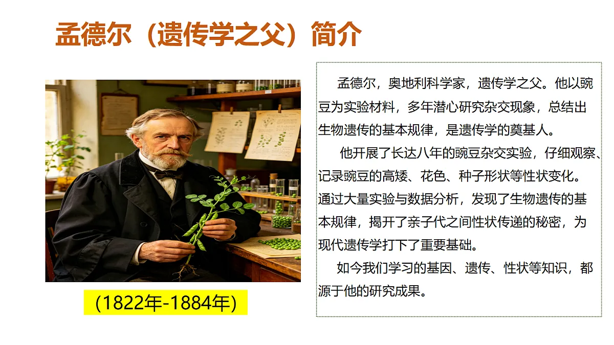 18409914第6页