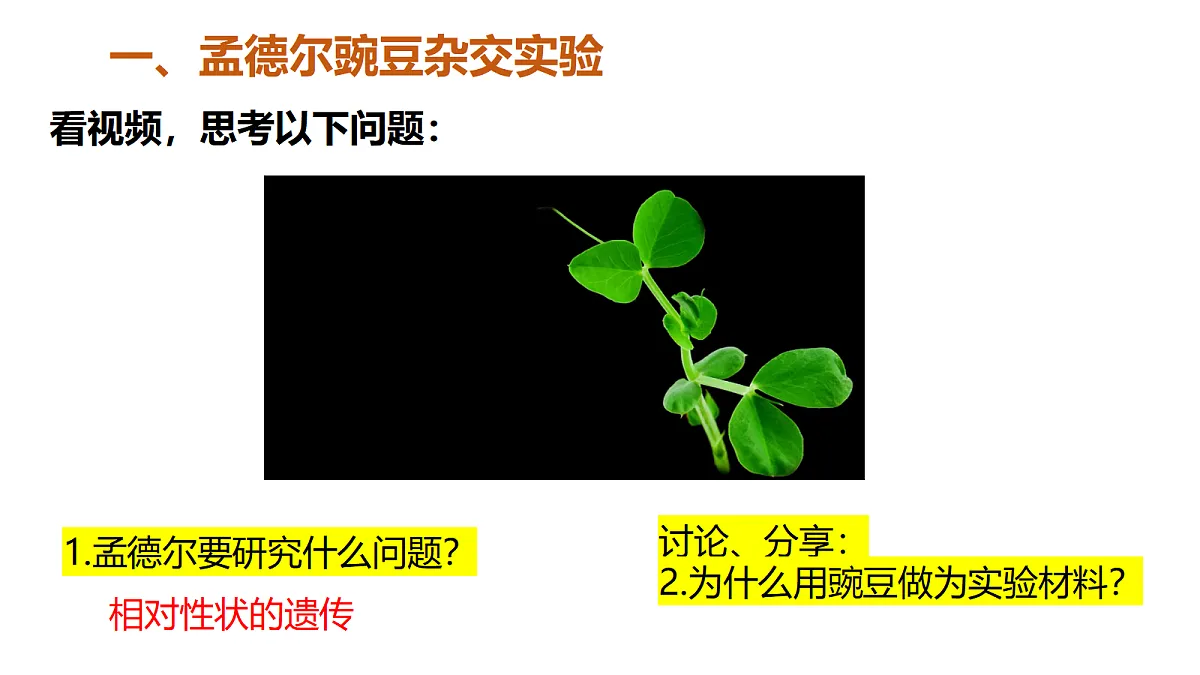 18409914第7页