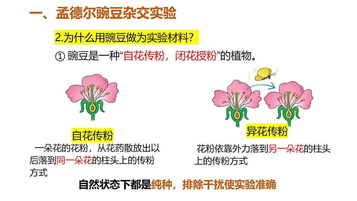 18409914第8页