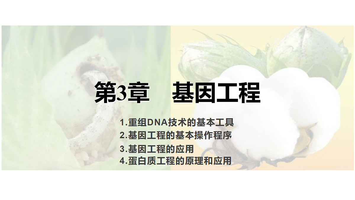 18410995第1页