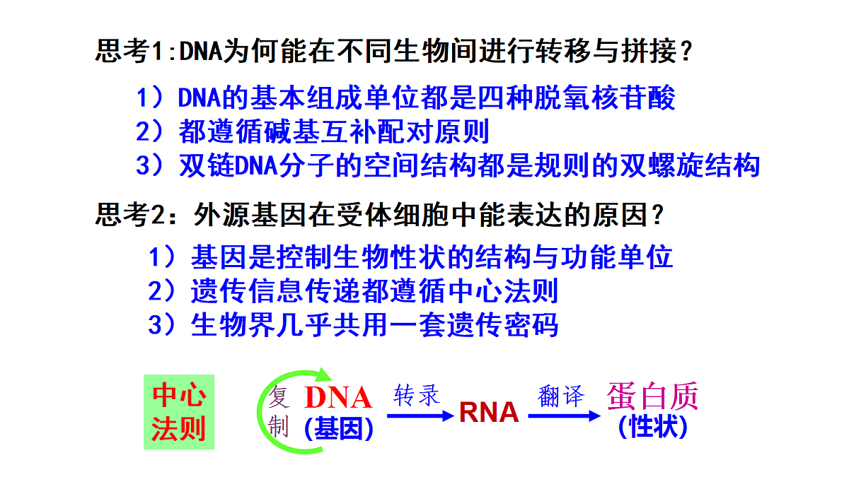 18410995第4页