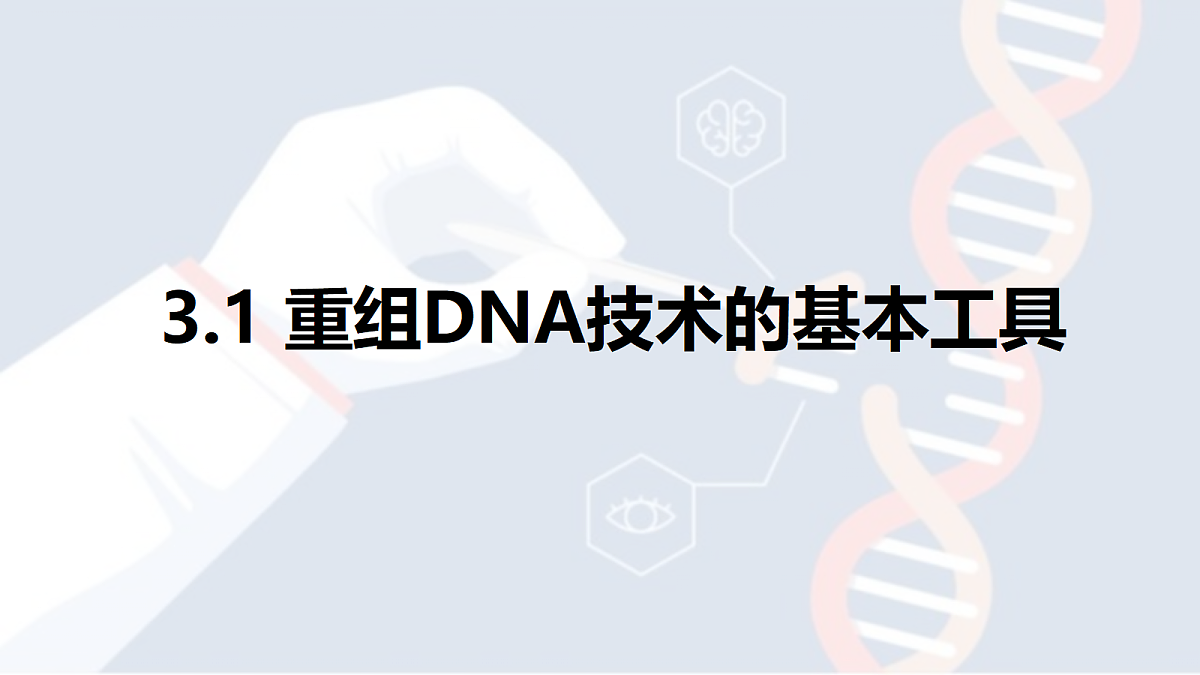 18410995第6页