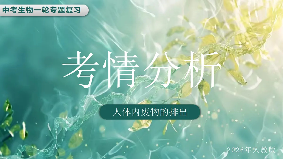 18413183第3页