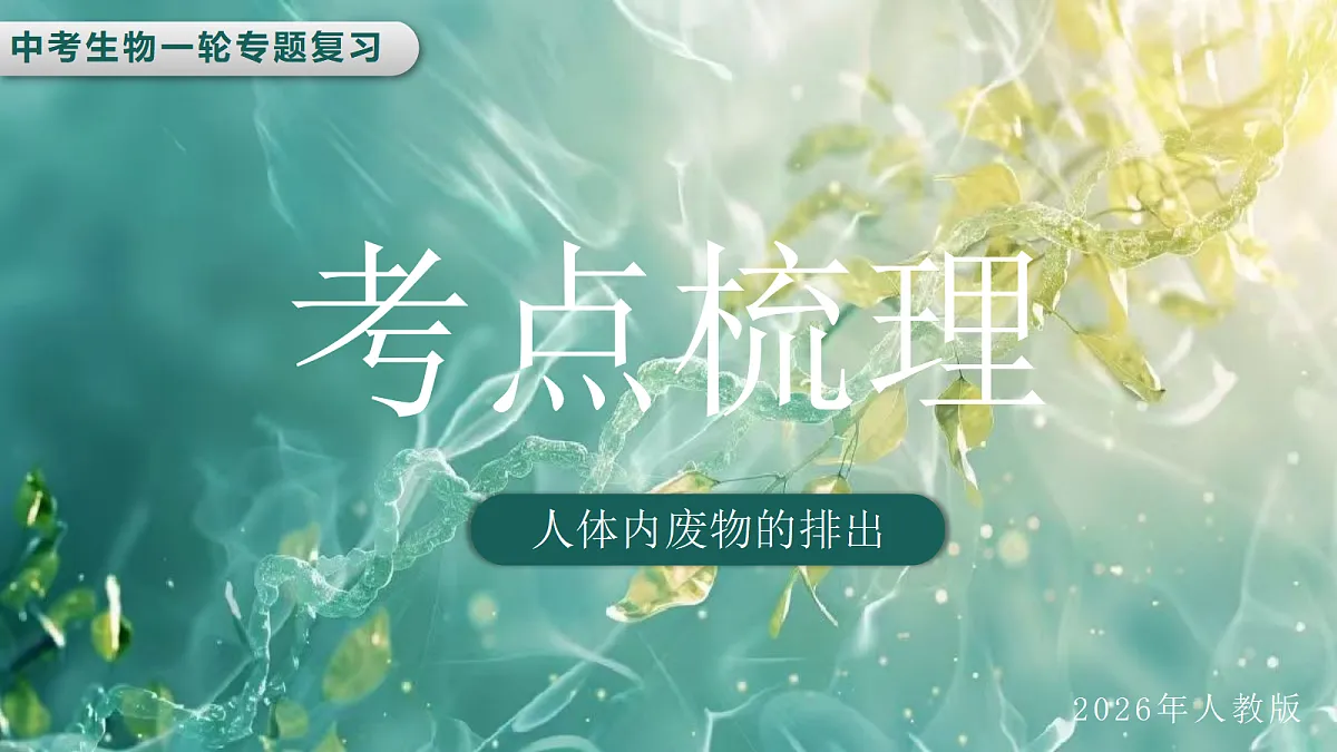 18413183第5页