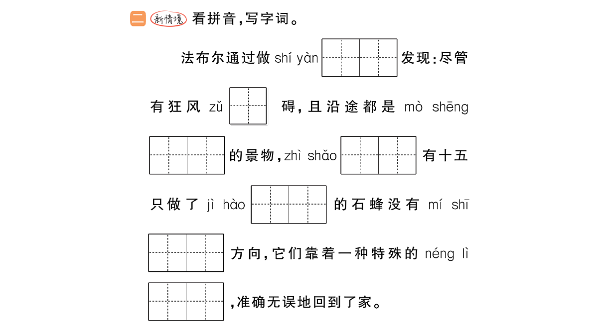 18416186第3页