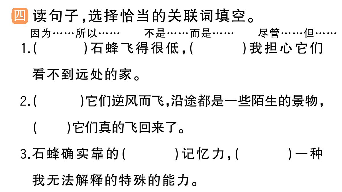 18416186第5页