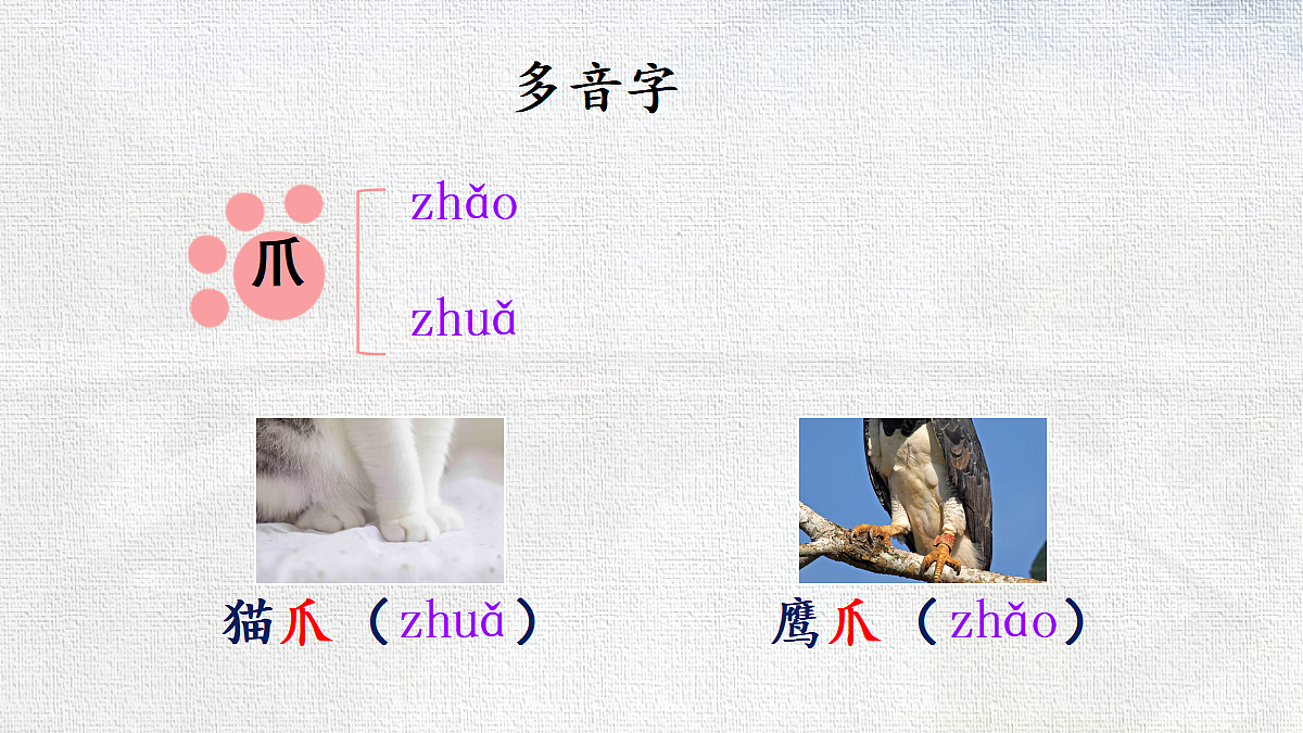 18416947第4页