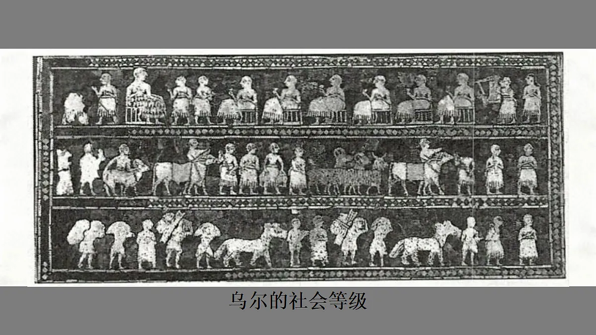 18419169第8页