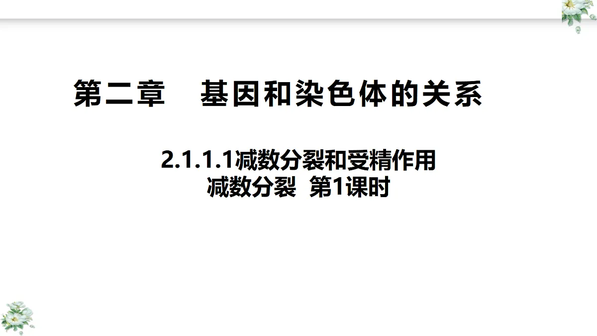 18419600第1页