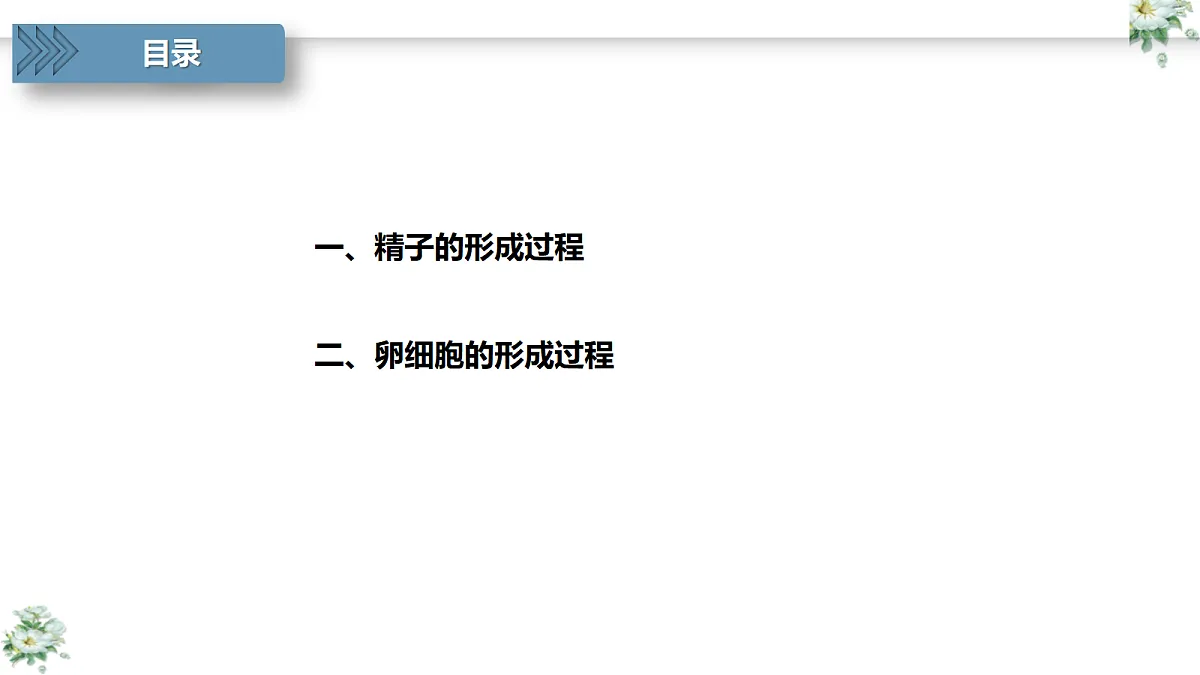 18419600第4页