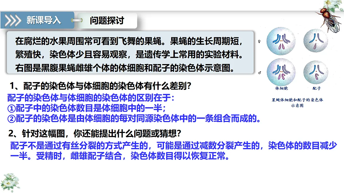 18419600第6页