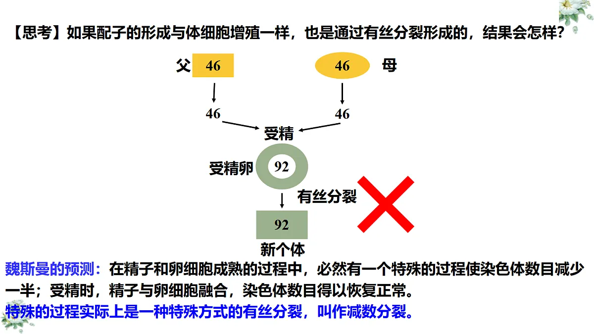 18419600第7页