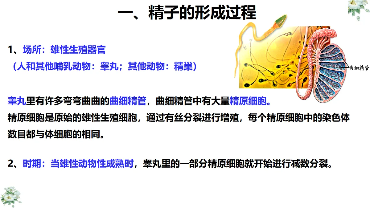 18419600第8页
