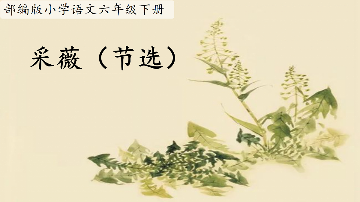 18420258第2页