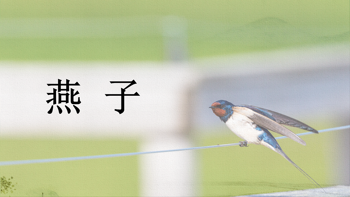 18420716第1页