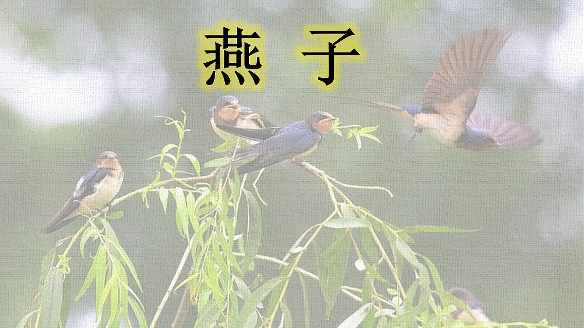 18420719第1页