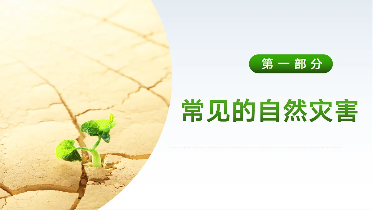18421331第2页