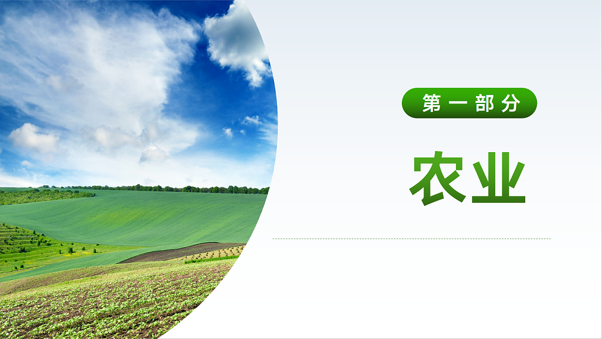 18421332第2页