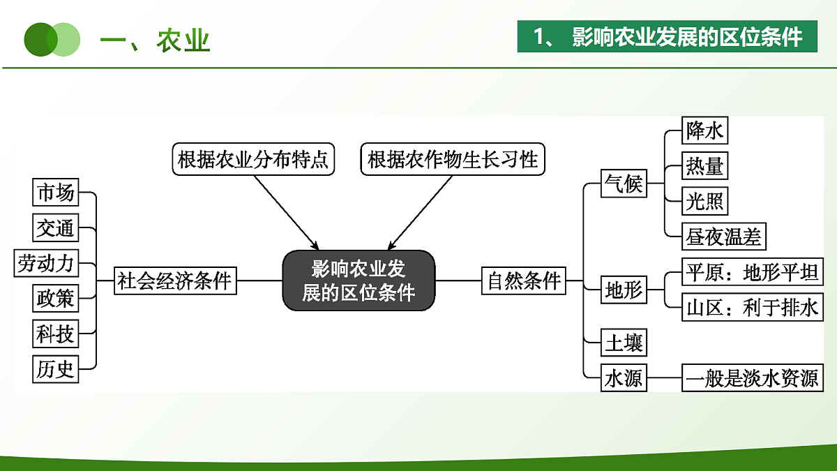 18421332第3页
