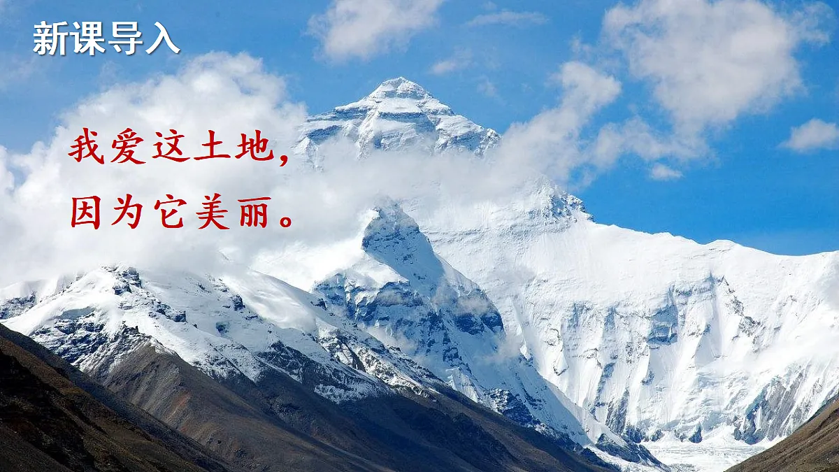 18425738第1页