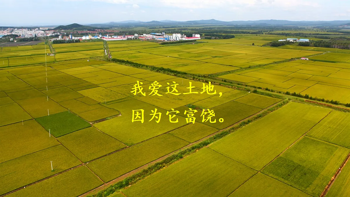 18425738第2页