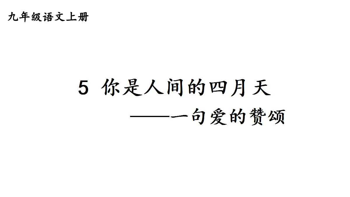 18425741第3页