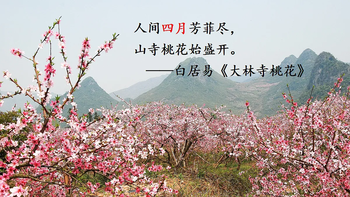 18425742第1页