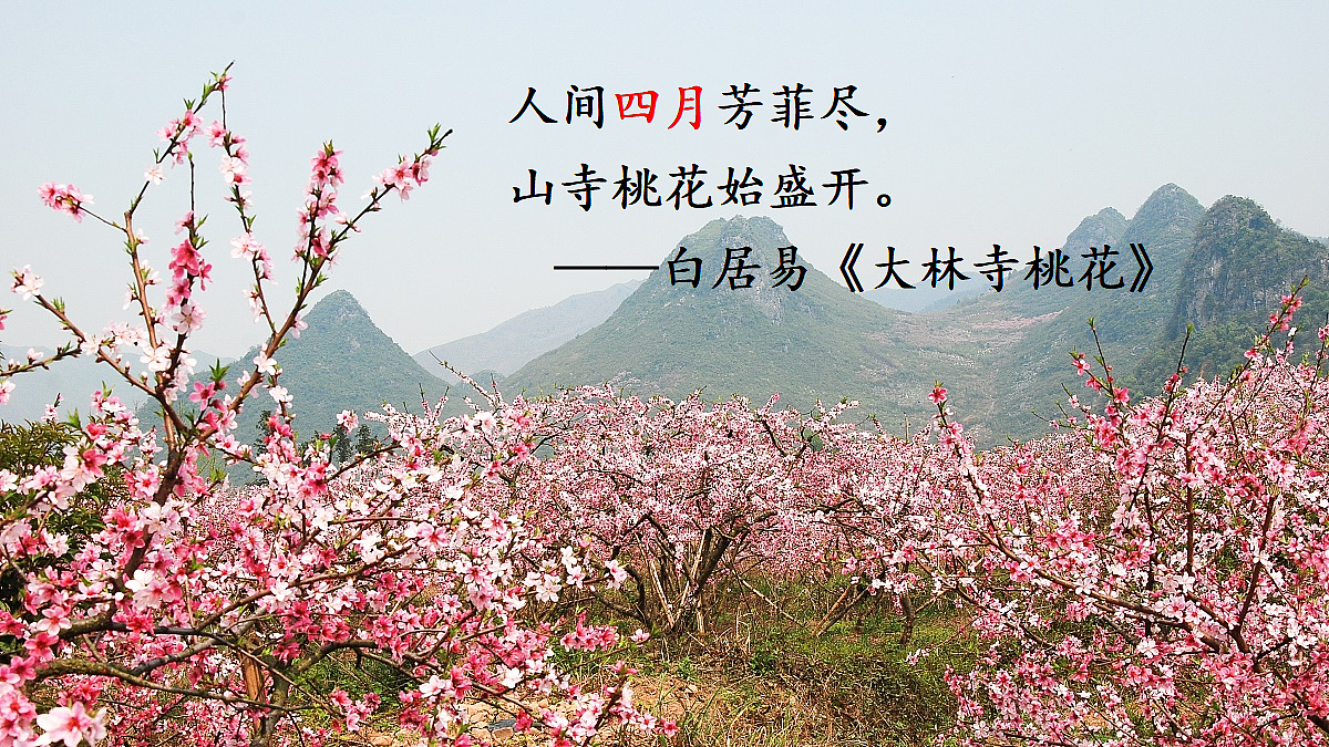 18425742第1页