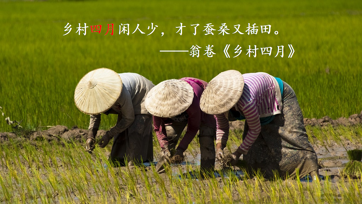 18425742第2页