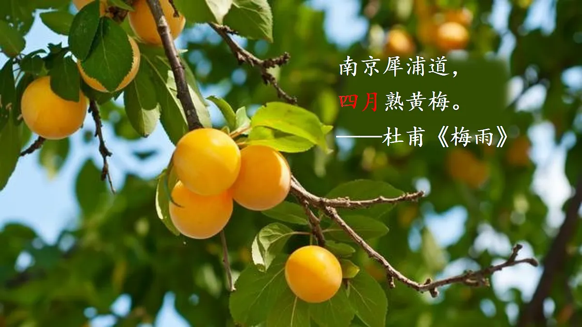 18425742第3页