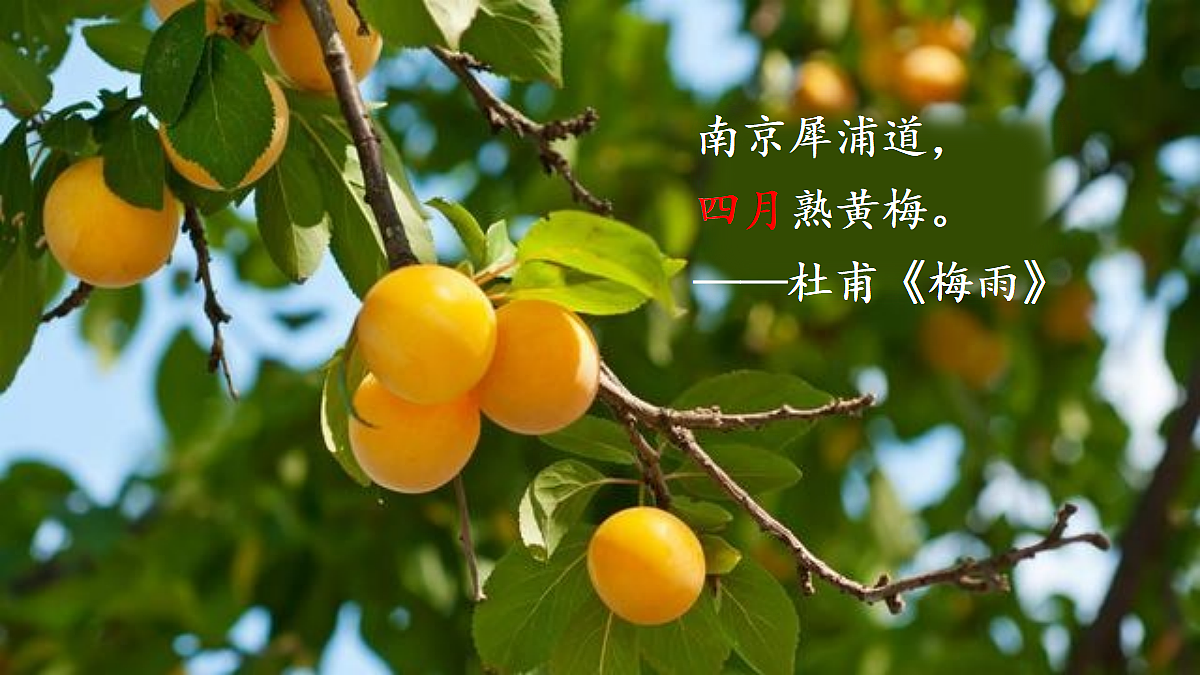 18425742第3页