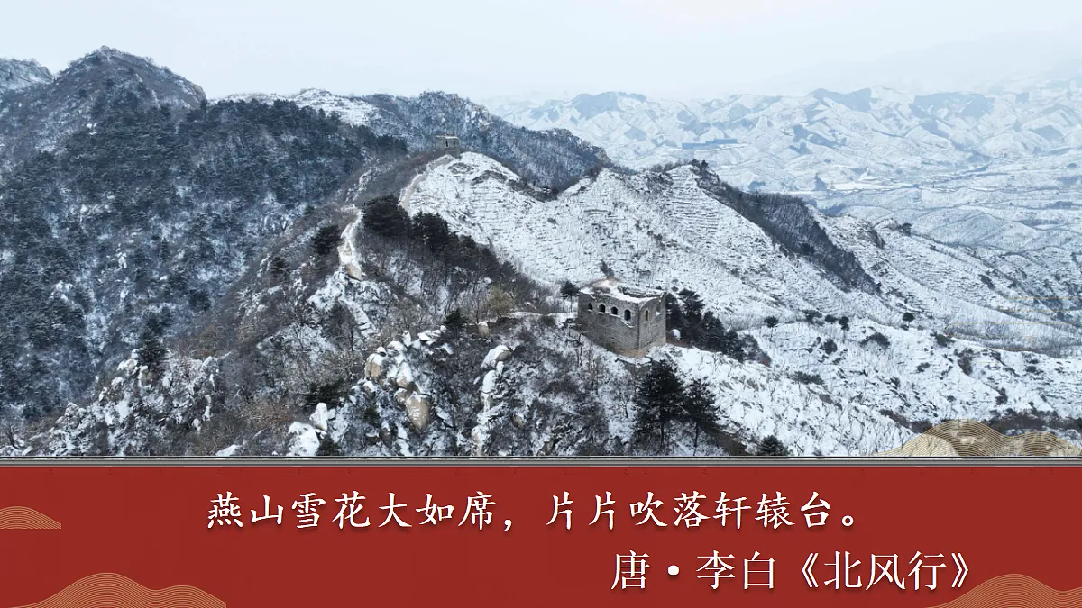 18425840第2页