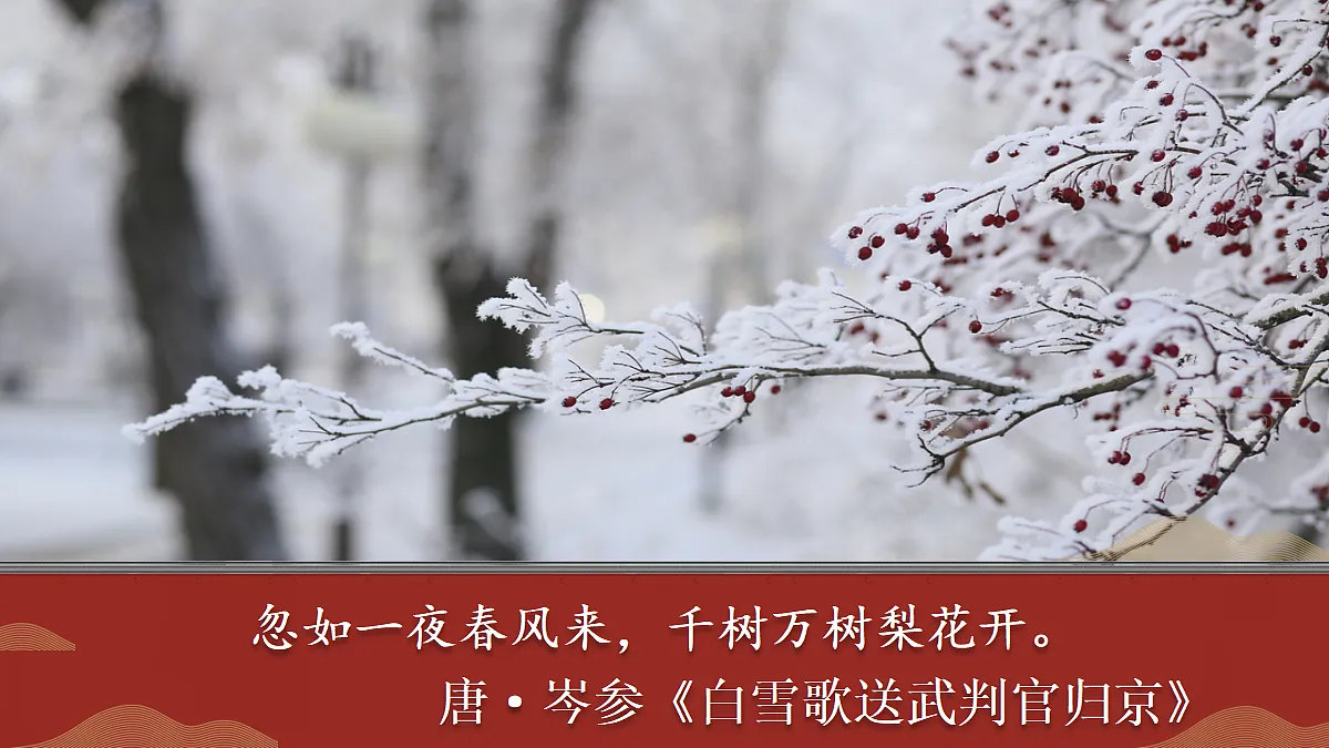 18425840第4页