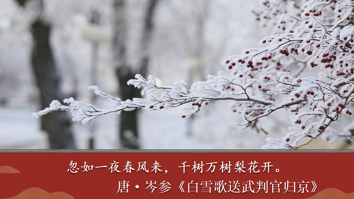 18425840第4页