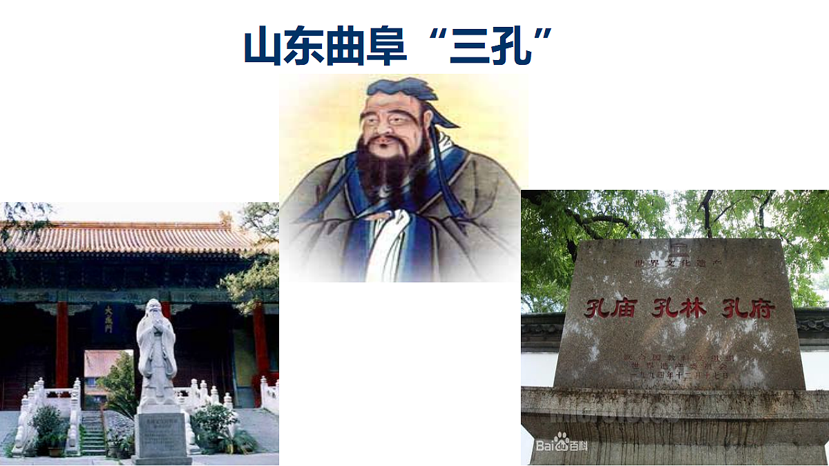 18428185第2页