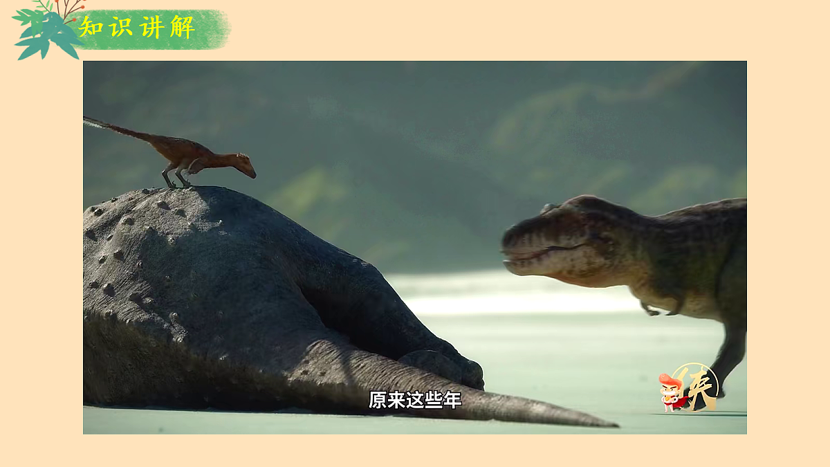 18428461第6页