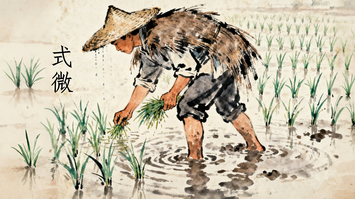 18428547第2页