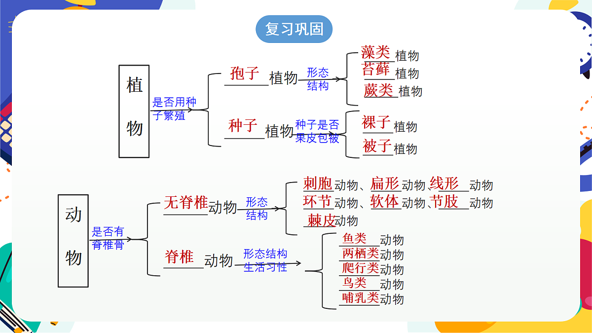 2.4《生物的分类》课件 浙教版科学七上第3页