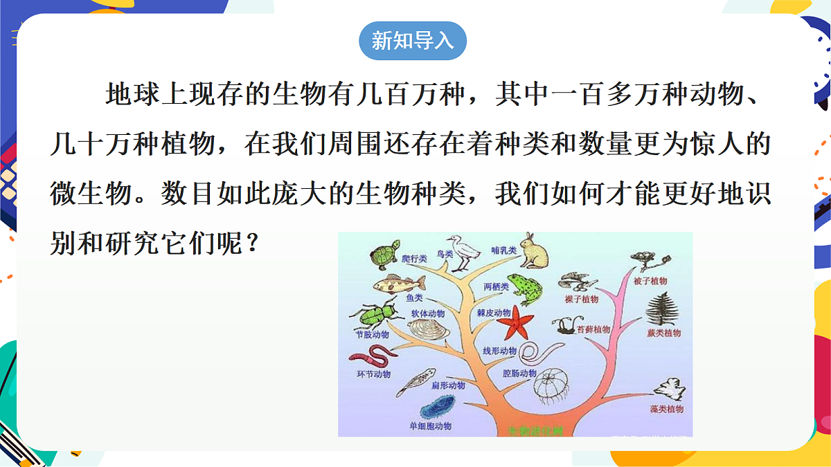 2.4《生物的分类》课件 浙教版科学七上第4页