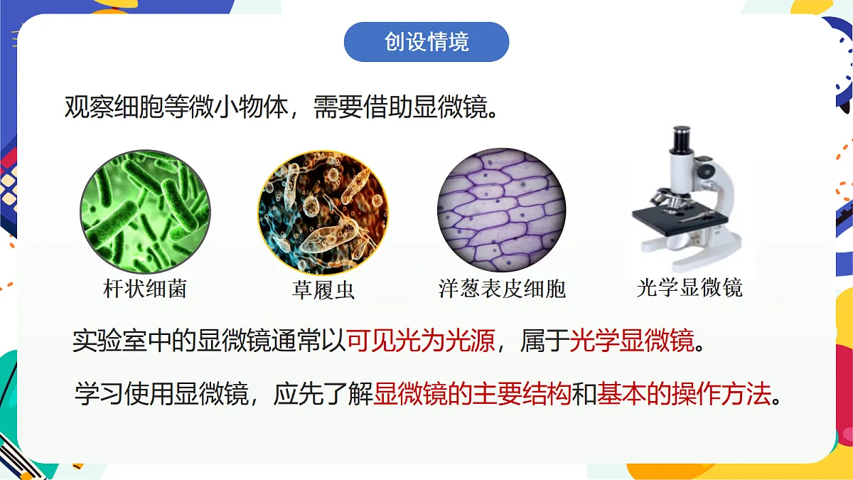 1.2《生物体的基本单位》课件 浙教版科学七上第2页