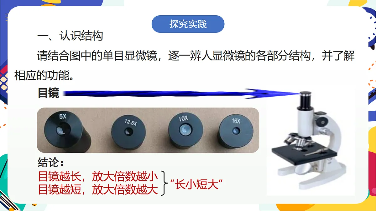 1.2《生物体的基本单位》课件 浙教版科学七上第3页