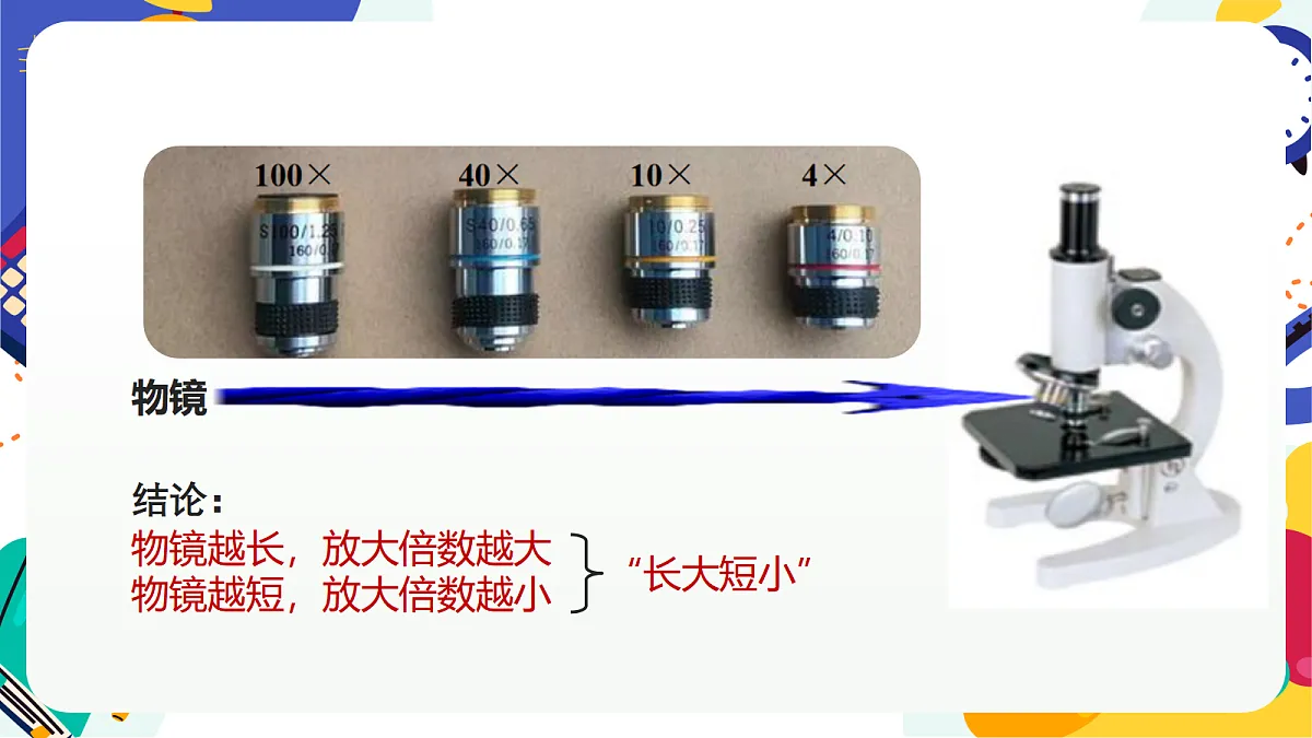 1.2《生物体的基本单位》课件 浙教版科学七上第4页