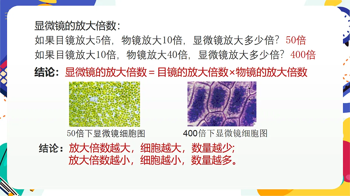 1.2《生物体的基本单位》课件 浙教版科学七上第5页