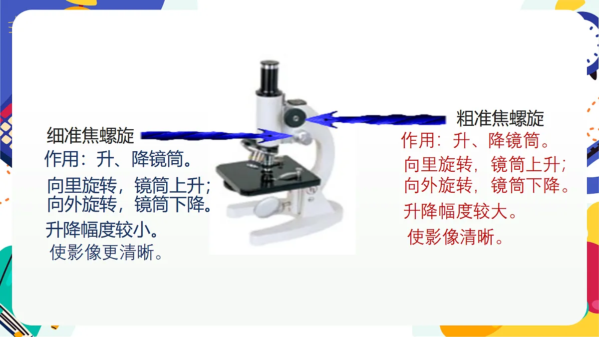 1.2《生物体的基本单位》课件 浙教版科学七上第7页