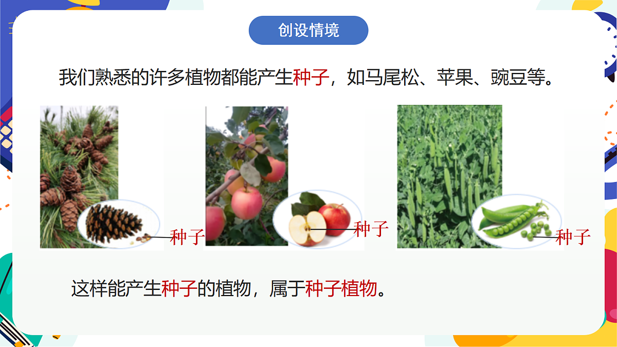 2.2《形形色色的植物》课件 浙教版科学七上第2页